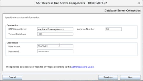 Install SAP B1 - 12