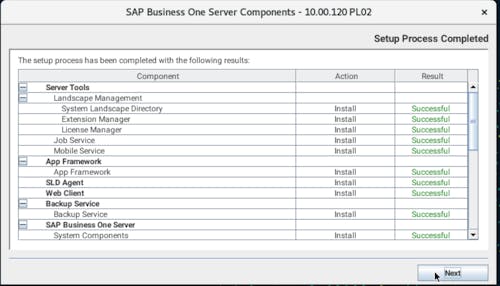 Install SAP B1 - 24