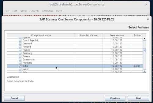 Install SAP B1 - 3-1