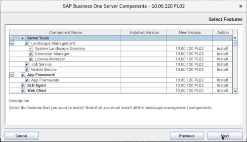 Install SAP B1 - 3