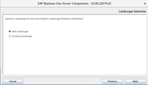 Install SAP B1 - 6