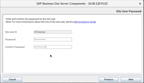 Install SAP B1 - 7