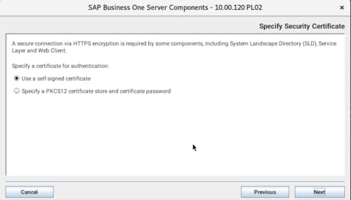 Install SAP B1 - 8